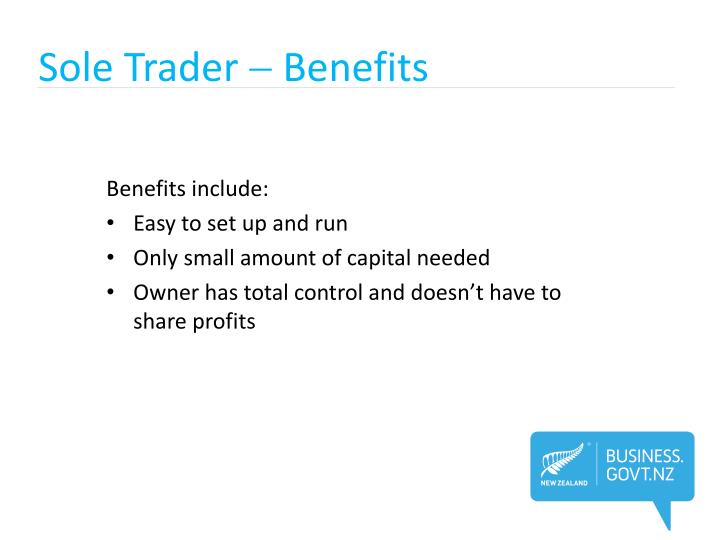 PPT - Understanding Business Structures PowerPoint Presentation - ID ...