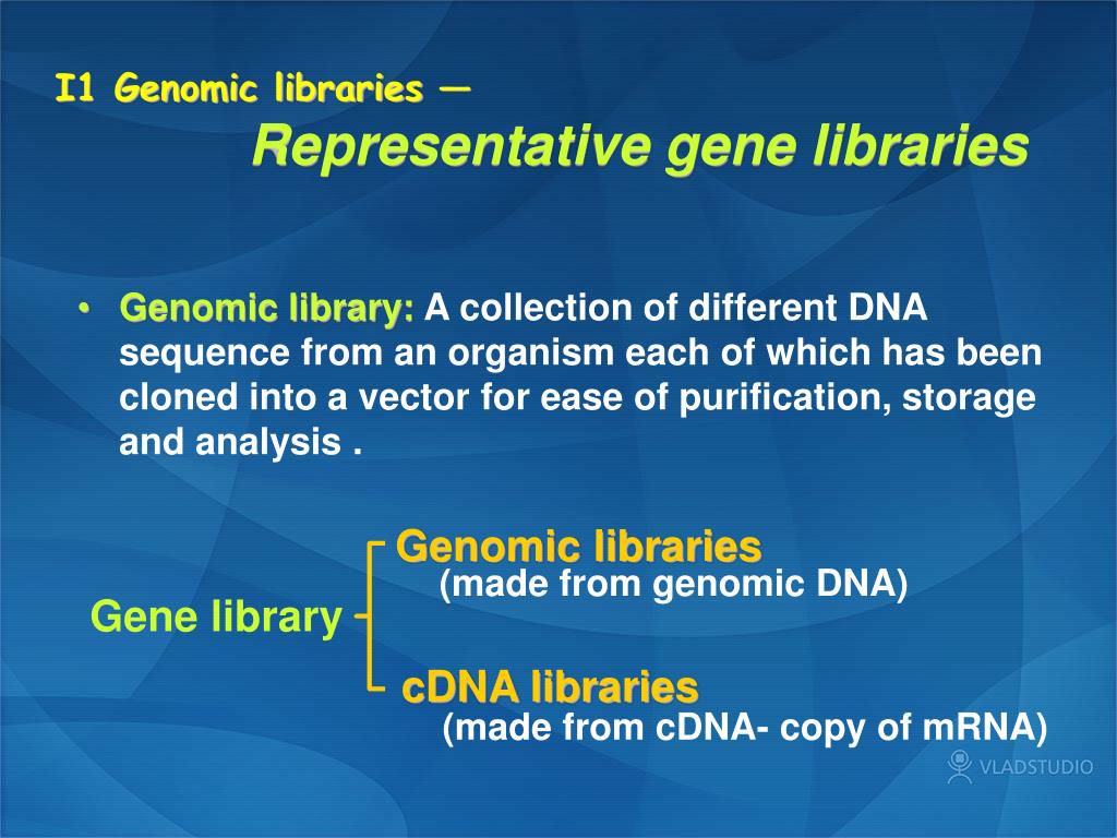 essay on gene library