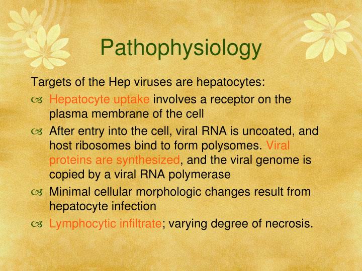 PPT - Viral Hepatitis: A C E PowerPoint Presentation - ID:1760689