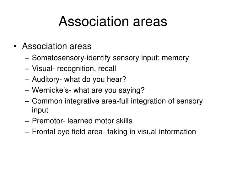 memory recall and recognition common object Abstract objective: to examine whether emotional memory (em) of objects with self-reference in alzheimer's disease (ad) can be modeled with binomial logistic regression in a free recall and an object recognition test to predict em enhancement. memory recall and recognition common object Abstract objective: to examine whether emotional memory (em) of objects with self-reference in alzheimer's disease (ad) can be modeled with binomial logistic regression in a free recall and an object recognition test to predict em enhancement.