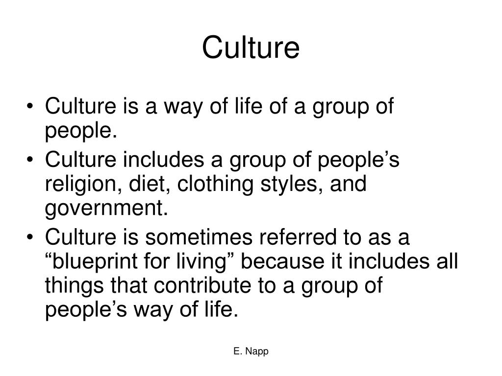 PPT - The Meaning of History and Culture PowerPoint Presentation, free ...