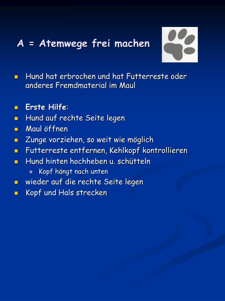PPT Normalwerte Hund, Katze PowerPoint Presentation ID1764847