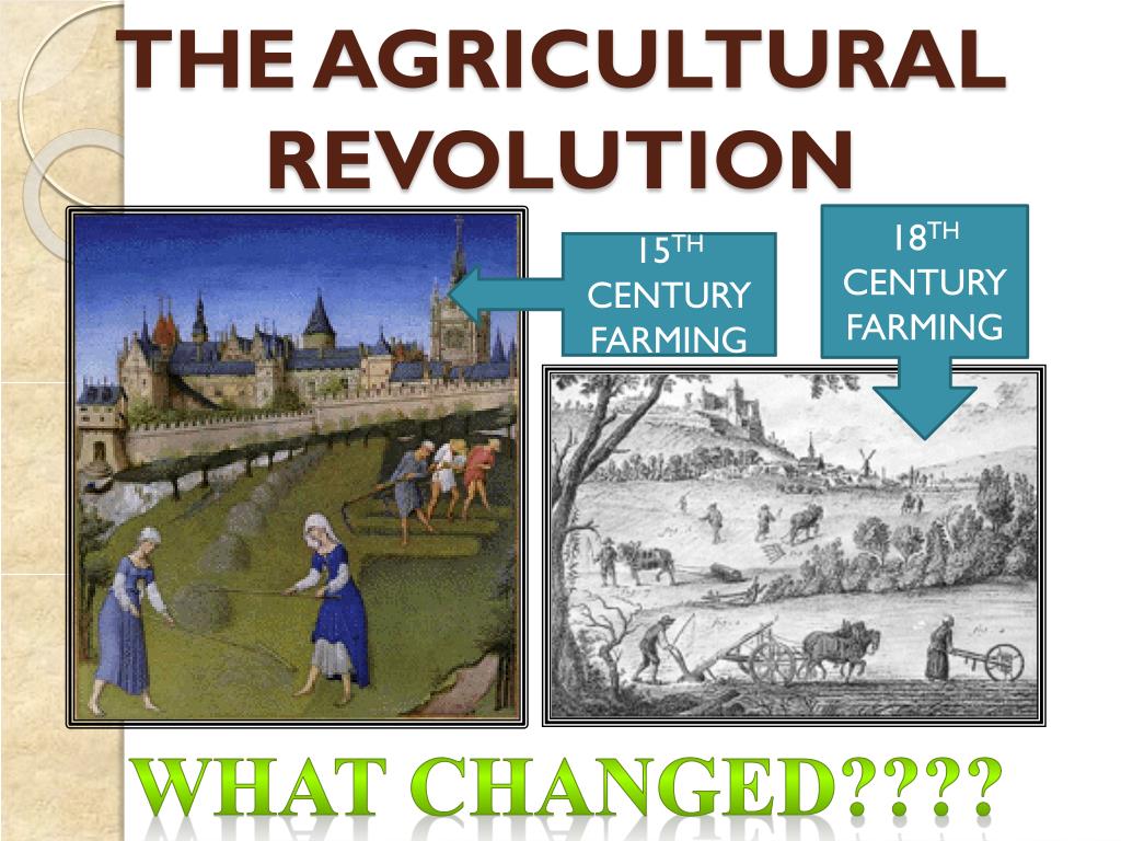 PPT - THE AGRICULTURAL REVOLUTION PowerPoint Presentation ...