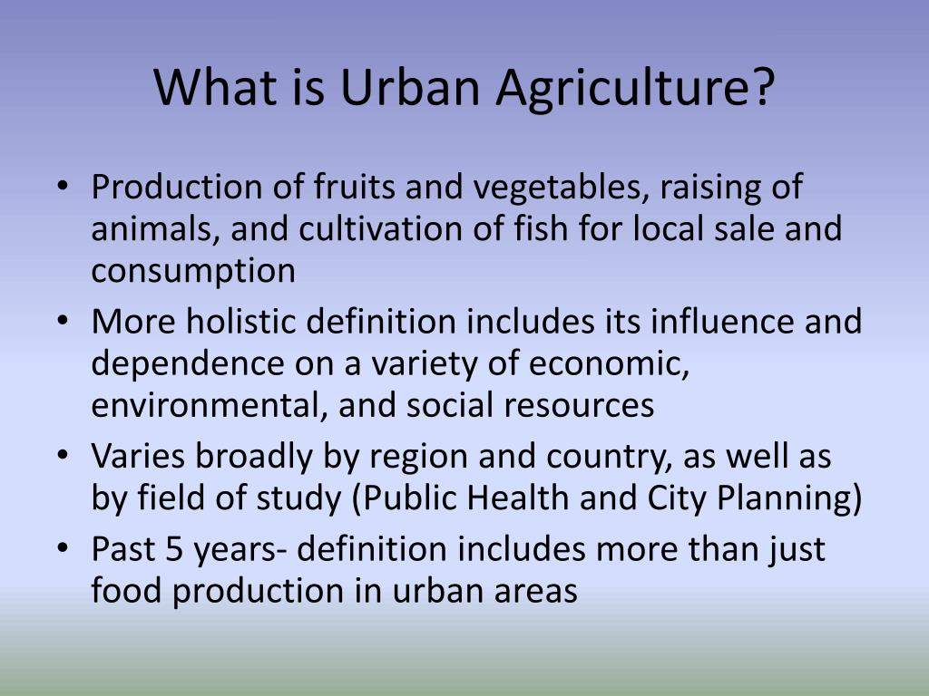 thesis of urban agriculture