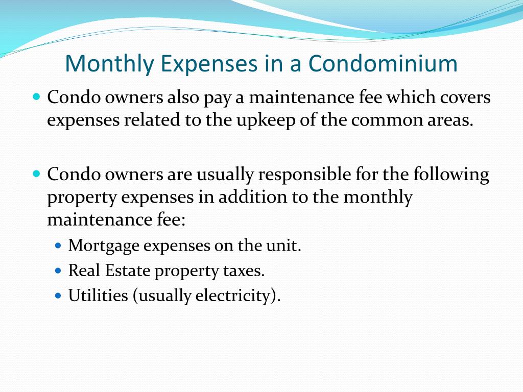 PPT - Investments in Florida and New York. Opportunities & tax features ...