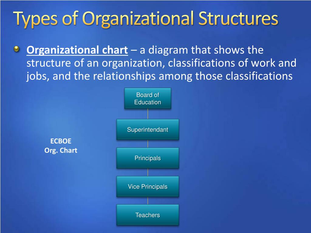 5 Types Of Organization Structure