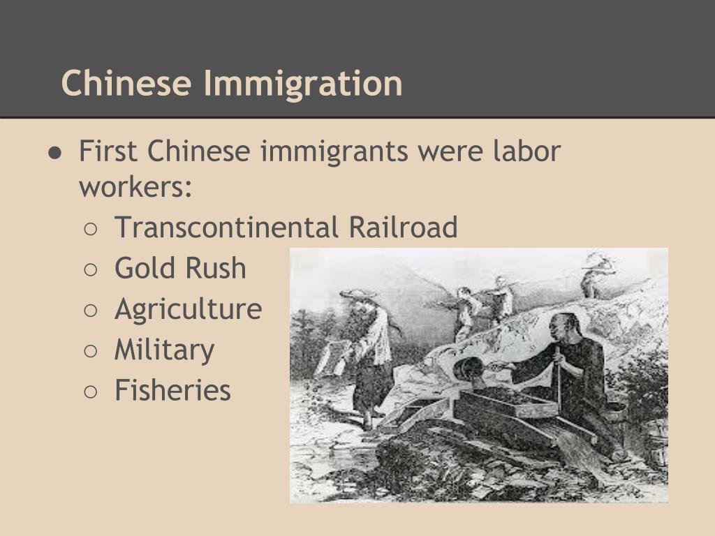 chinese immigration essay