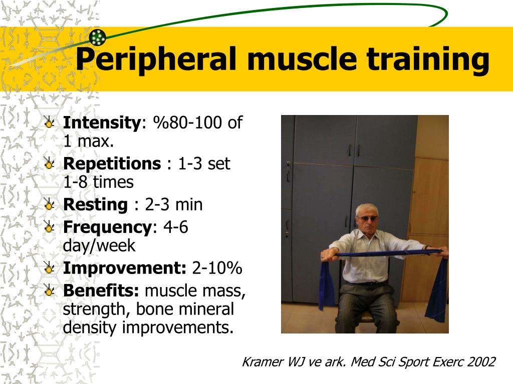 PPT SKELETAL MUSCLE TRAINING PERIPHERAL AND RESPIRATORY MUSCLES PowerPoint Presentation ID 1769165