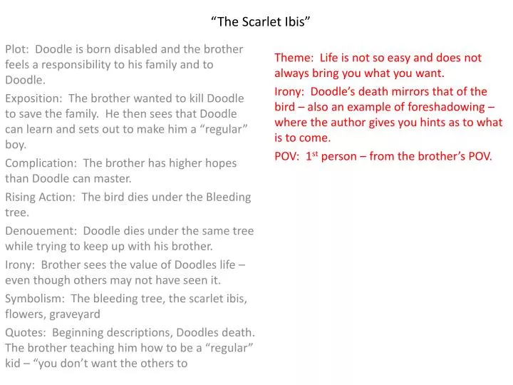 essay questions for the scarlet ibis