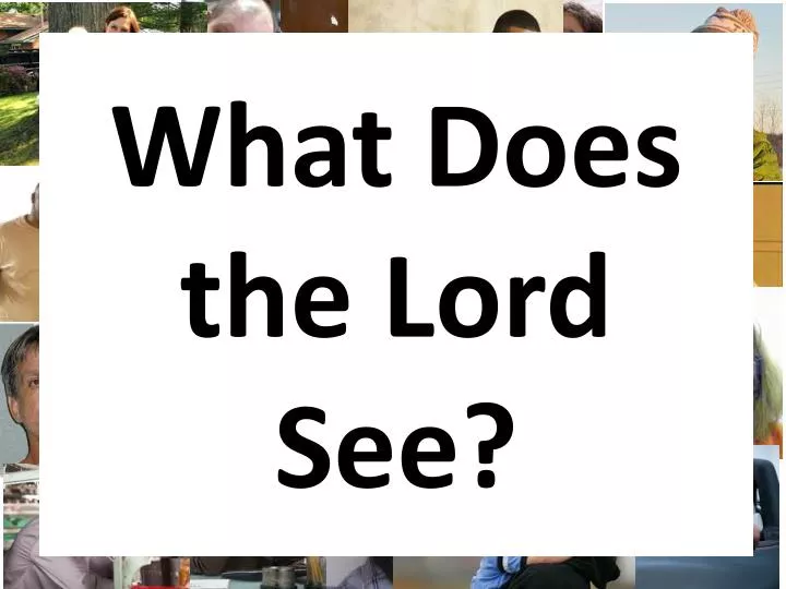 what does the lord see n.