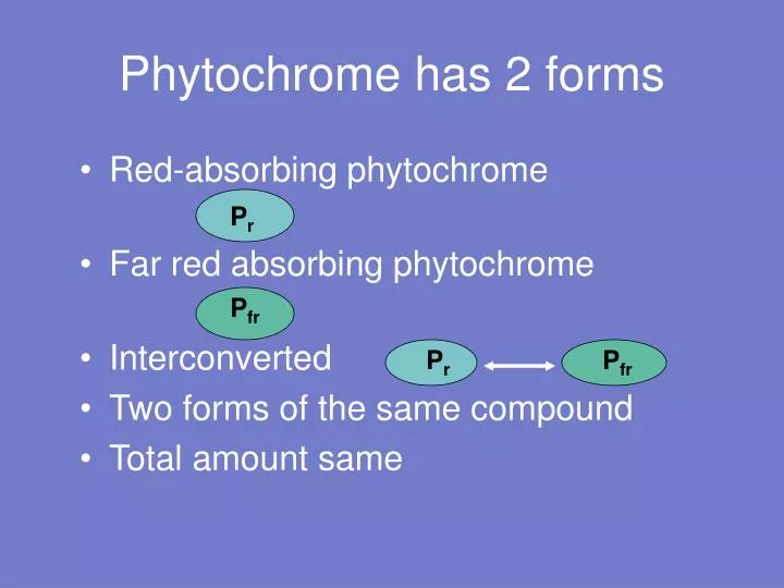 phytochrome full notes ppt phytochrome full notes ppt