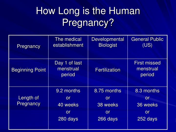 ppt-human-pregnancy-powerpoint-presentation-id-1774560