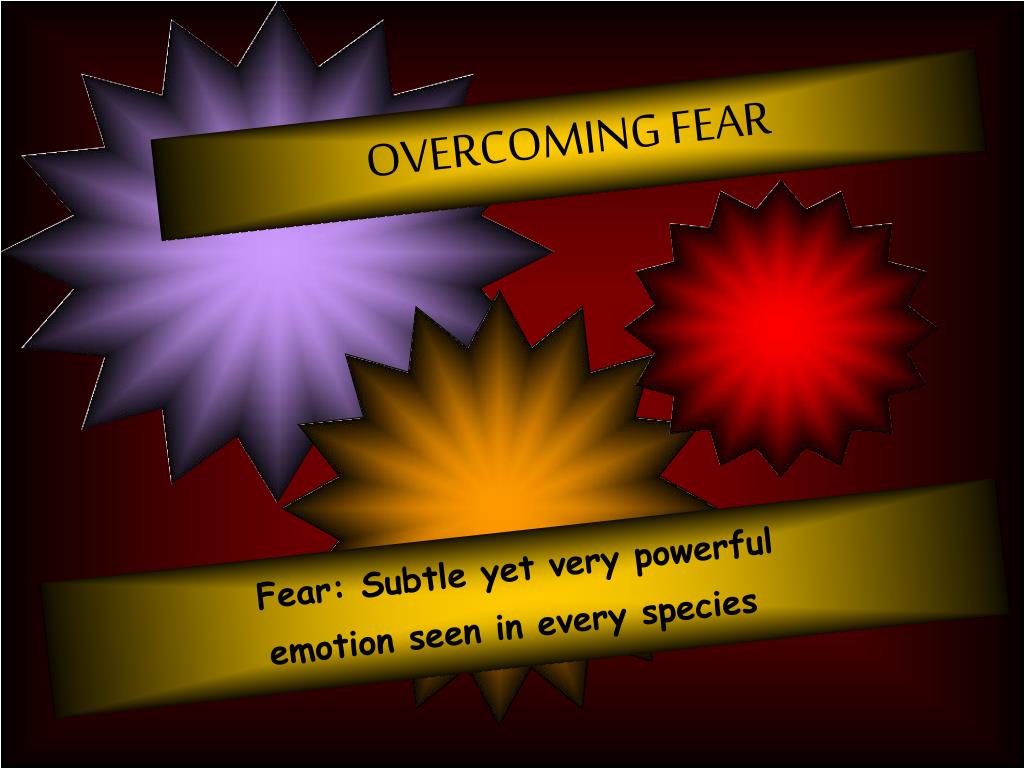 Fearless Want Freedom from Fear? UNIT 10. fearless Teaching Aims   Identifying main events  Expressing fear and desperation  Offering  sympathy and encouragement. - ppt download