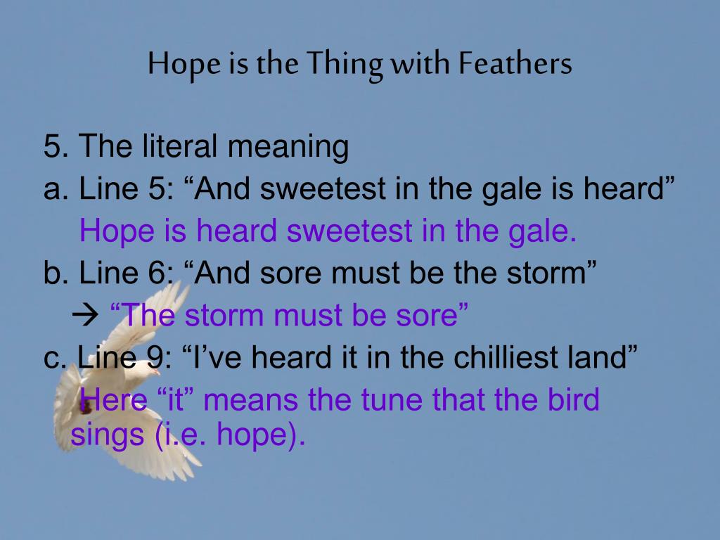 hope is the thing with feathers hope is the thing with feathers