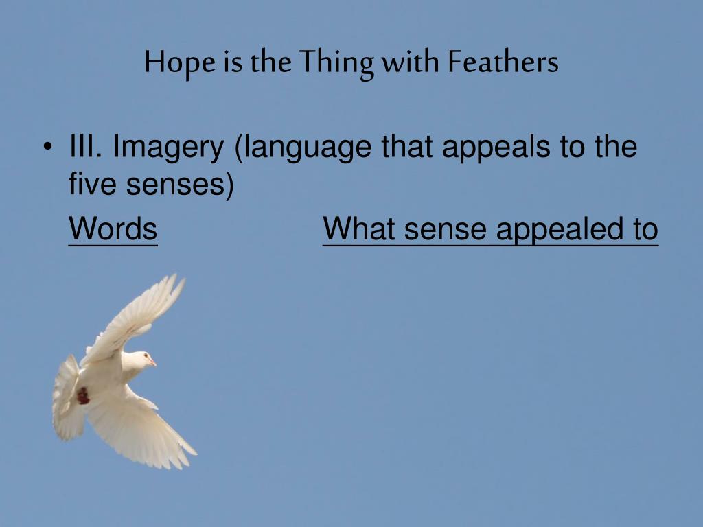 hope is the thing with feathers hope is the thing with feathers
