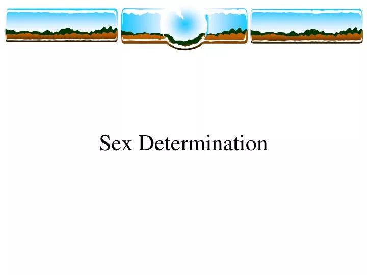 sex determination n.