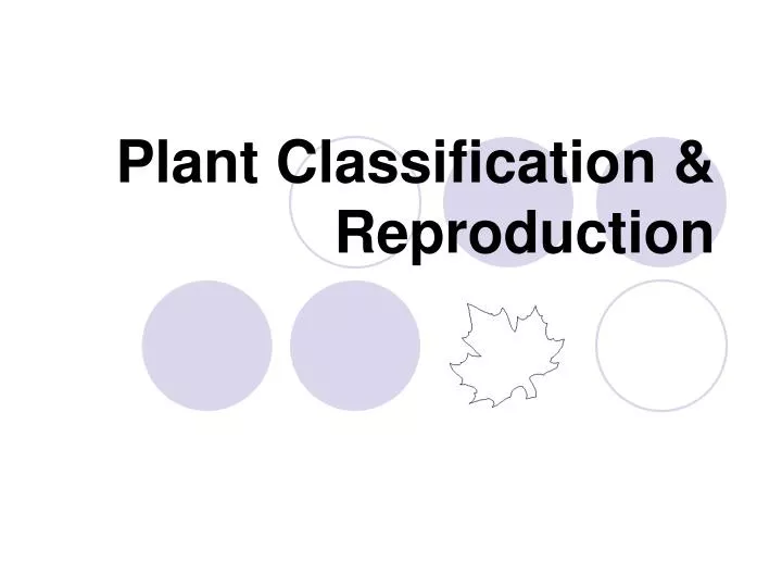 plant classification reproduction n.