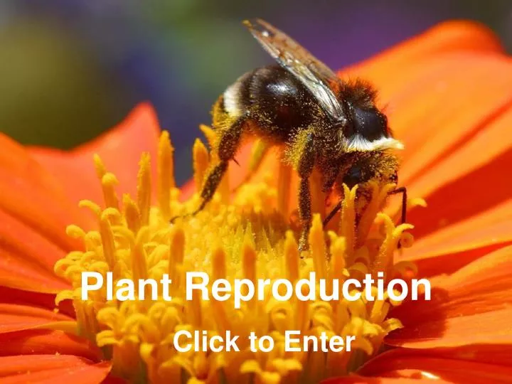 PPT Plant Reproduction PowerPoint Presentation, free download ID