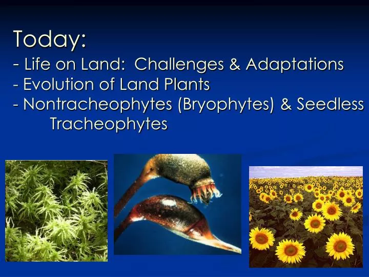 PPT Today Life on Land Challenges &amp; Adaptations