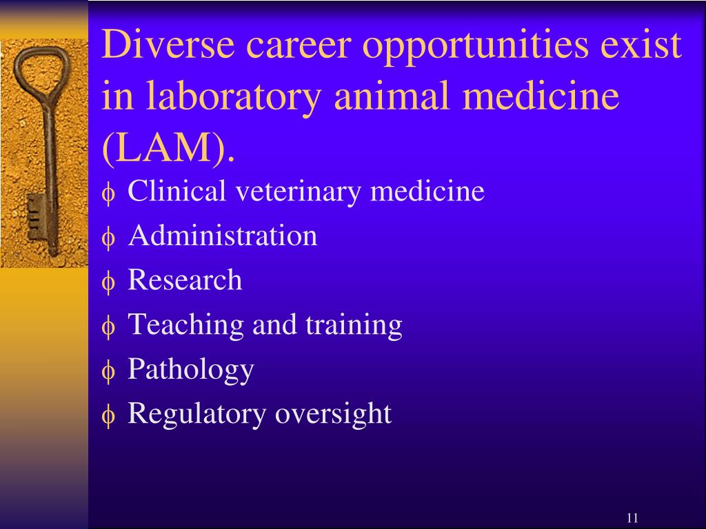 PPT - Laboratory Animal Medicine PowerPoint Presentation, free download -  ID:1776880