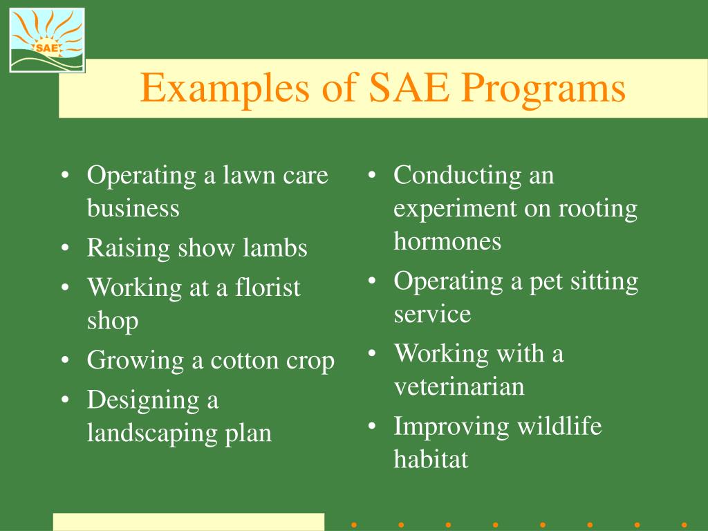 sae project presentation example