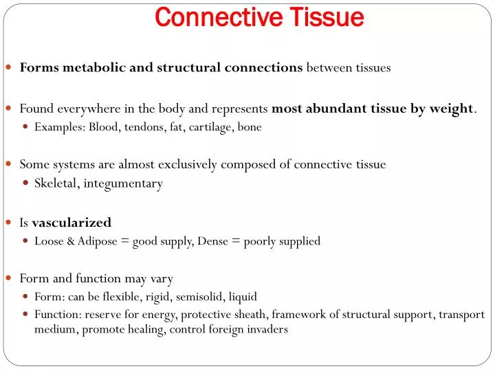 Ppt Connective Tissue Powerpoint Presentation Free Download