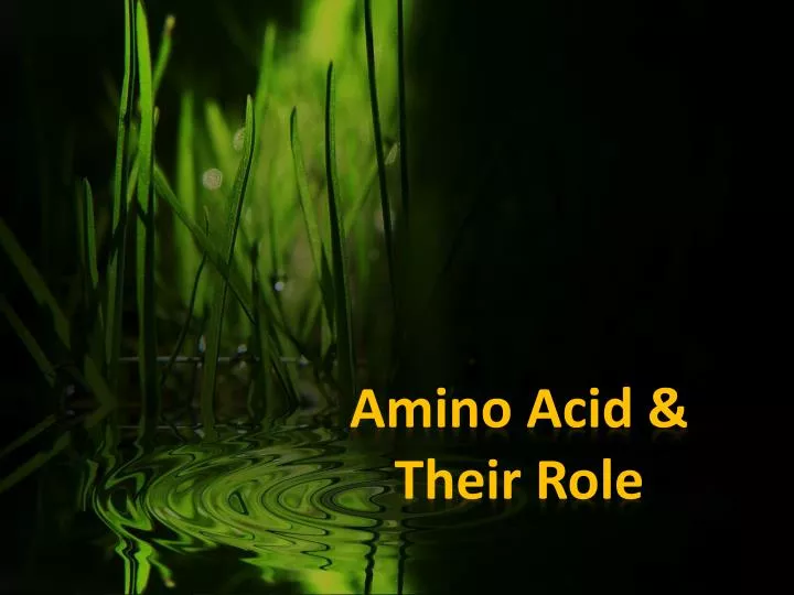 amino acid their role n.