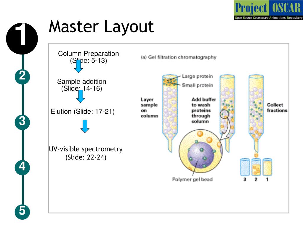 Ppt Gel Filtration Chromatography Powerpoint Presentation Free