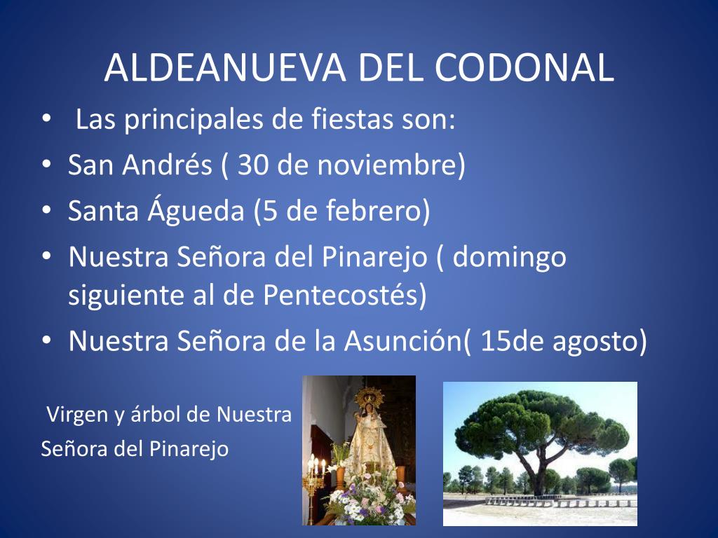 PPT - FIESTAS DE MARTIN MUÑOZ DE LAS POSADAS Y ALDEANUEVA DEL CODONAL ...