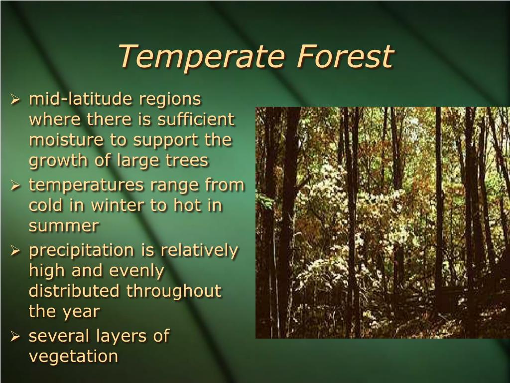 temperate-meaning