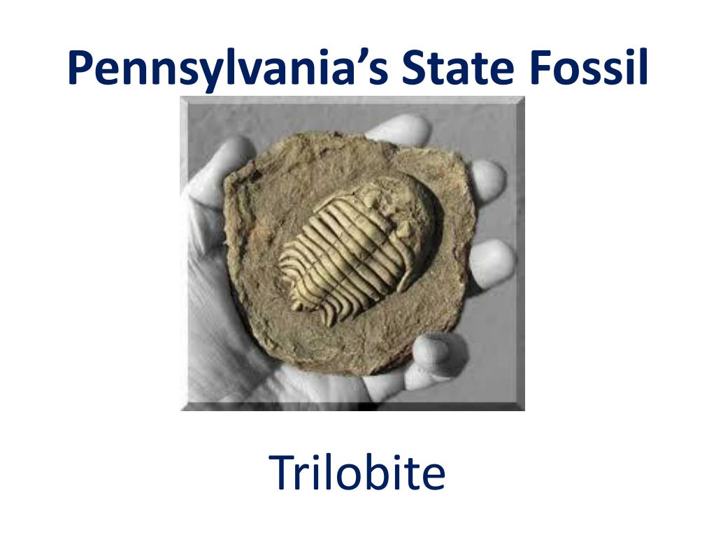 PPT - The Symbols of Pennsylvania PowerPoint Presentation, free download -  ID:1780344