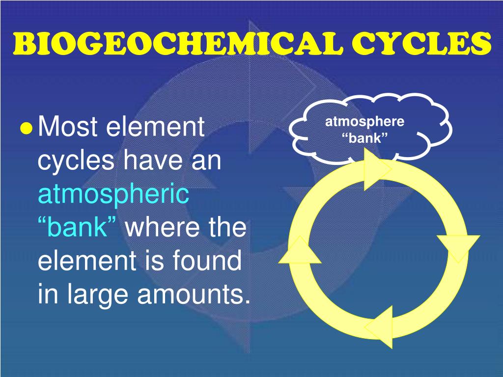 PPT - BIOGEOCHEMICAL CYCLES PowerPoint Presentation, free download - ID