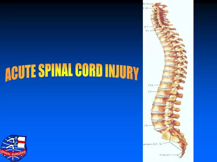 PPT ACUTE SPINAL CORD INJURY PowerPoint Presentation