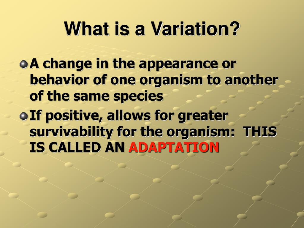PPT - The Theory of Evolution: PowerPoint Presentation, free download ...