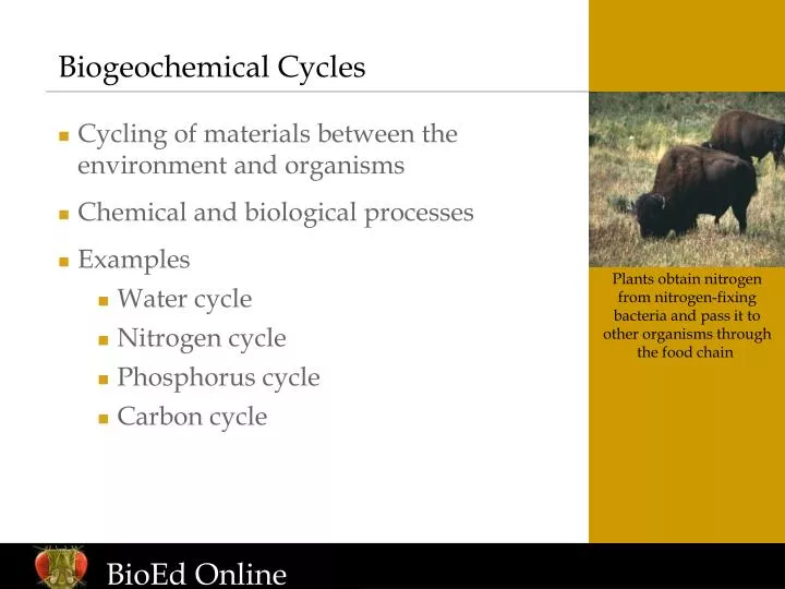 PPT - Biogeochemical Cycles PowerPoint Presentation, free download - ID ...
