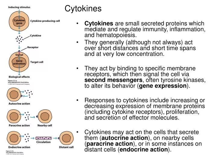 PPT - Cytokines PowerPoint Presentation, free download - ID:1781685