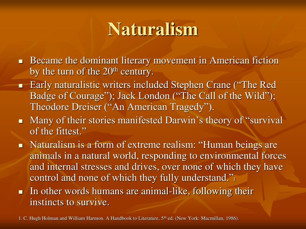 essay topics for naturalism in literature