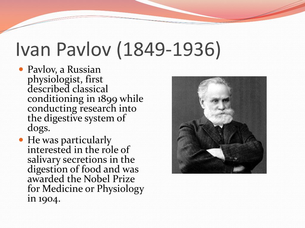 Олен павлов. Physiologist Ivan Pavlov.