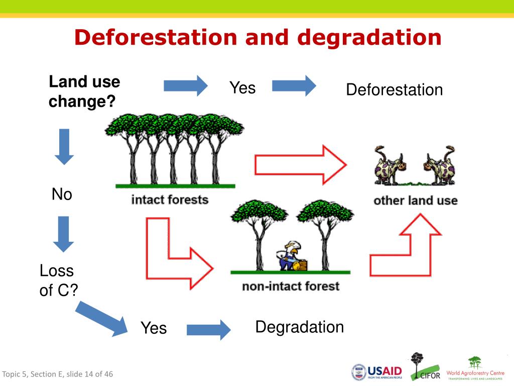 reducing deforestation case study