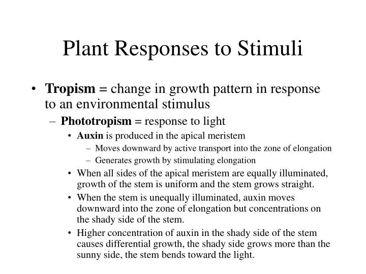 PPT Plant Responses to Stimuli PowerPoint Presentation, free download