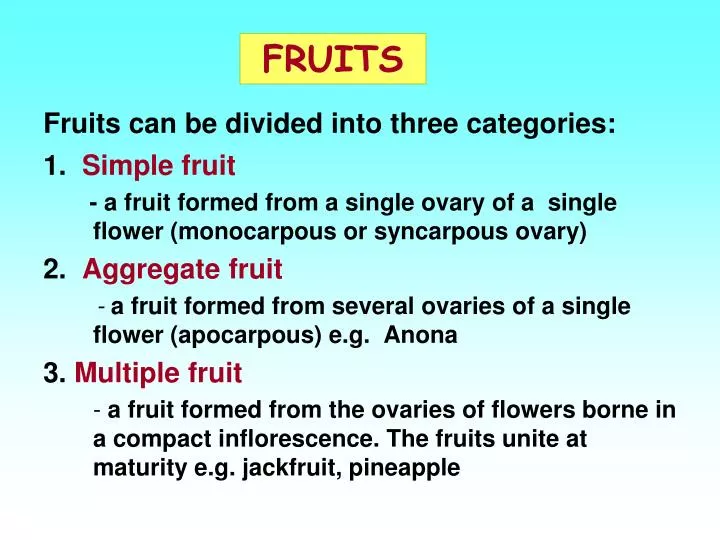 fruits n.
