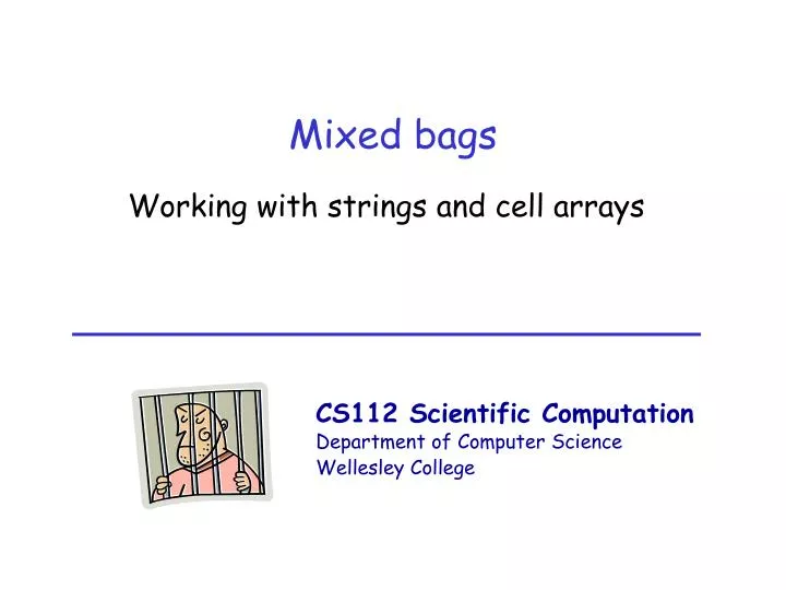 PPT Mixed bags PowerPoint Presentation, free download ID1783593