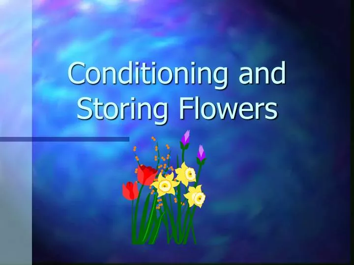 conditioning and storing flowers n.