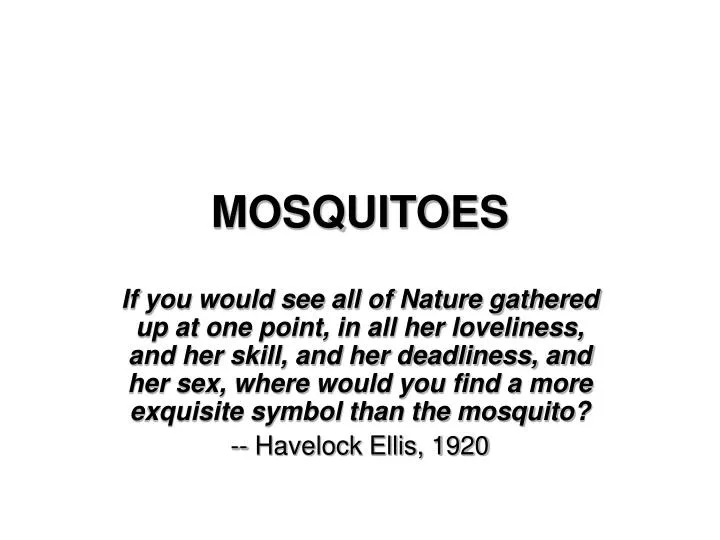 mosquitoes n.