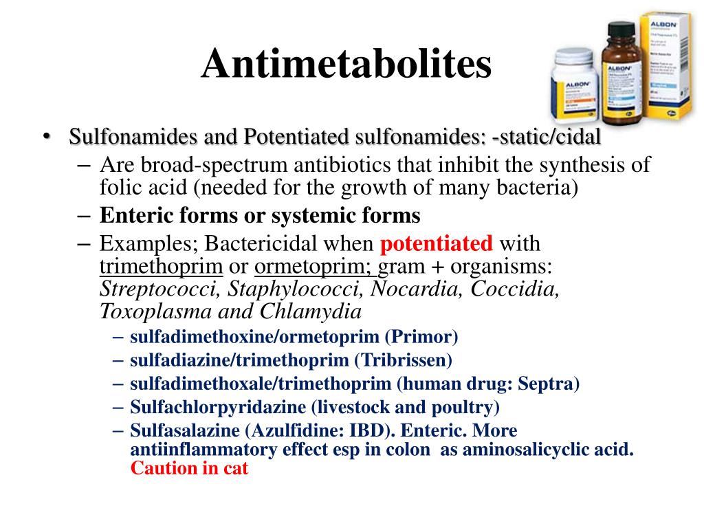 PPT Antimicrobials PowerPoint Presentation, free download ID1785498