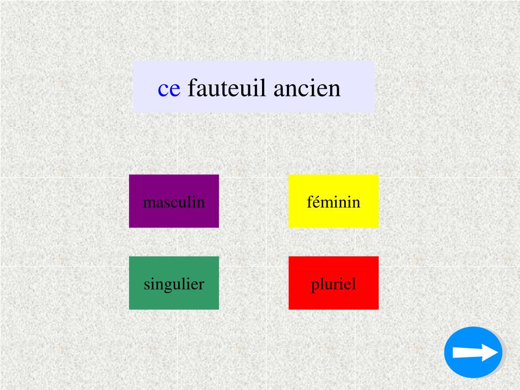 PPT - Masculin / Féminin PowerPoint Presentation, free download - ID:1785559