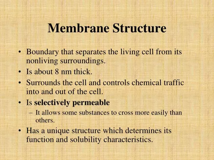 membrane structure n.