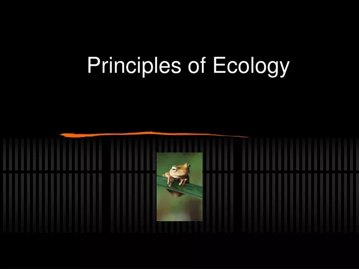 principles of ecology n.