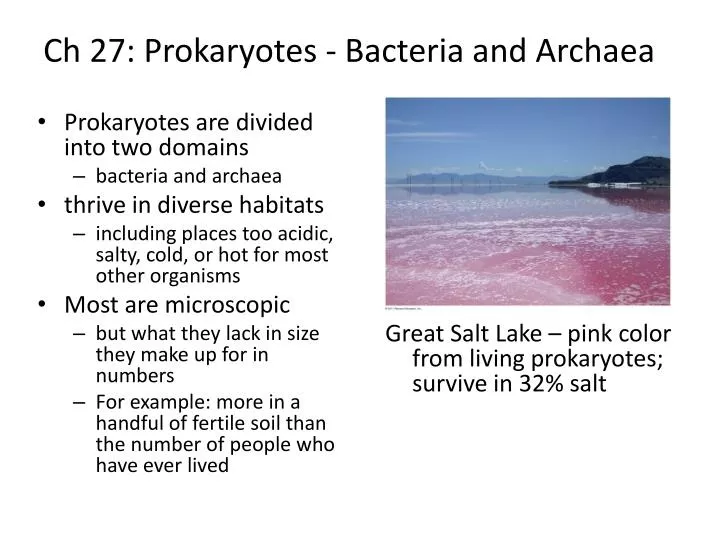 Ppt Ch 27 Prokaryotes Bacteria And Archaea Powerpoint Presentation