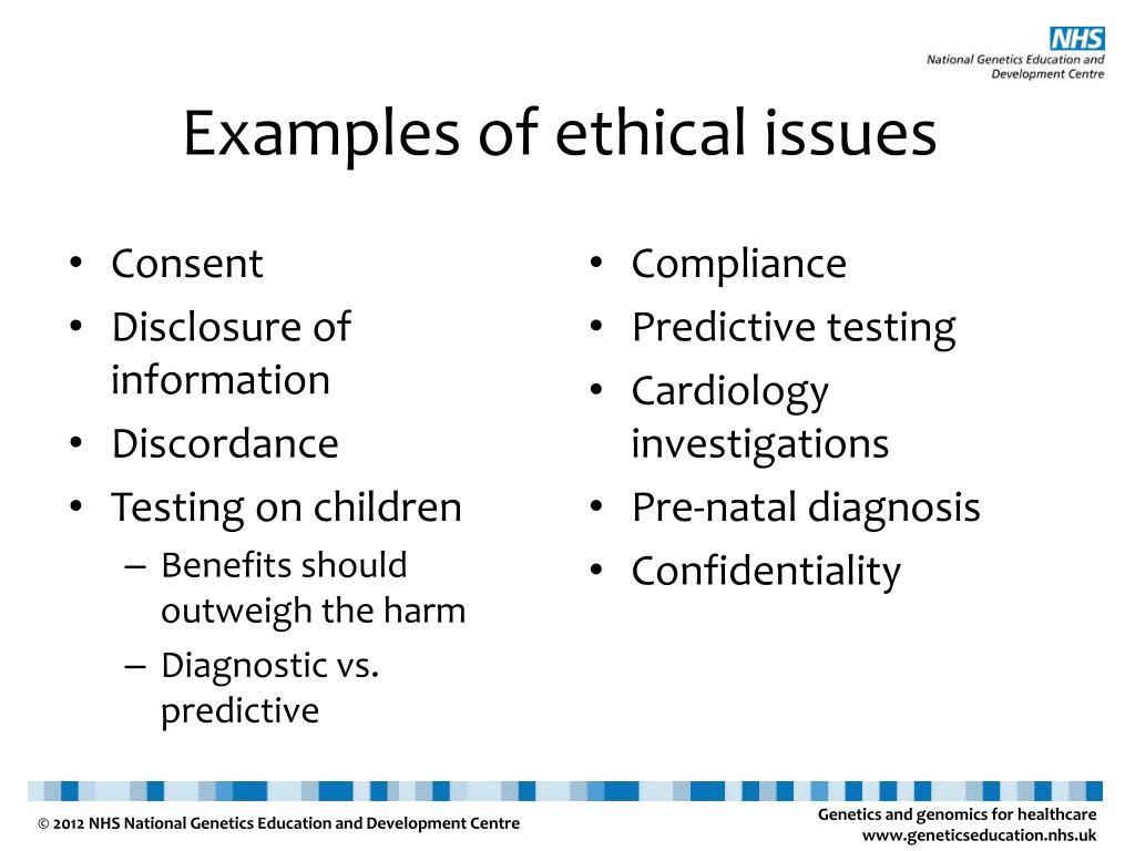 essay on ethical issues